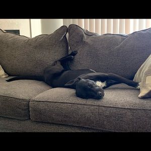 Meet your Posher, Donovan